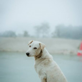test user