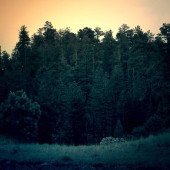 test user 